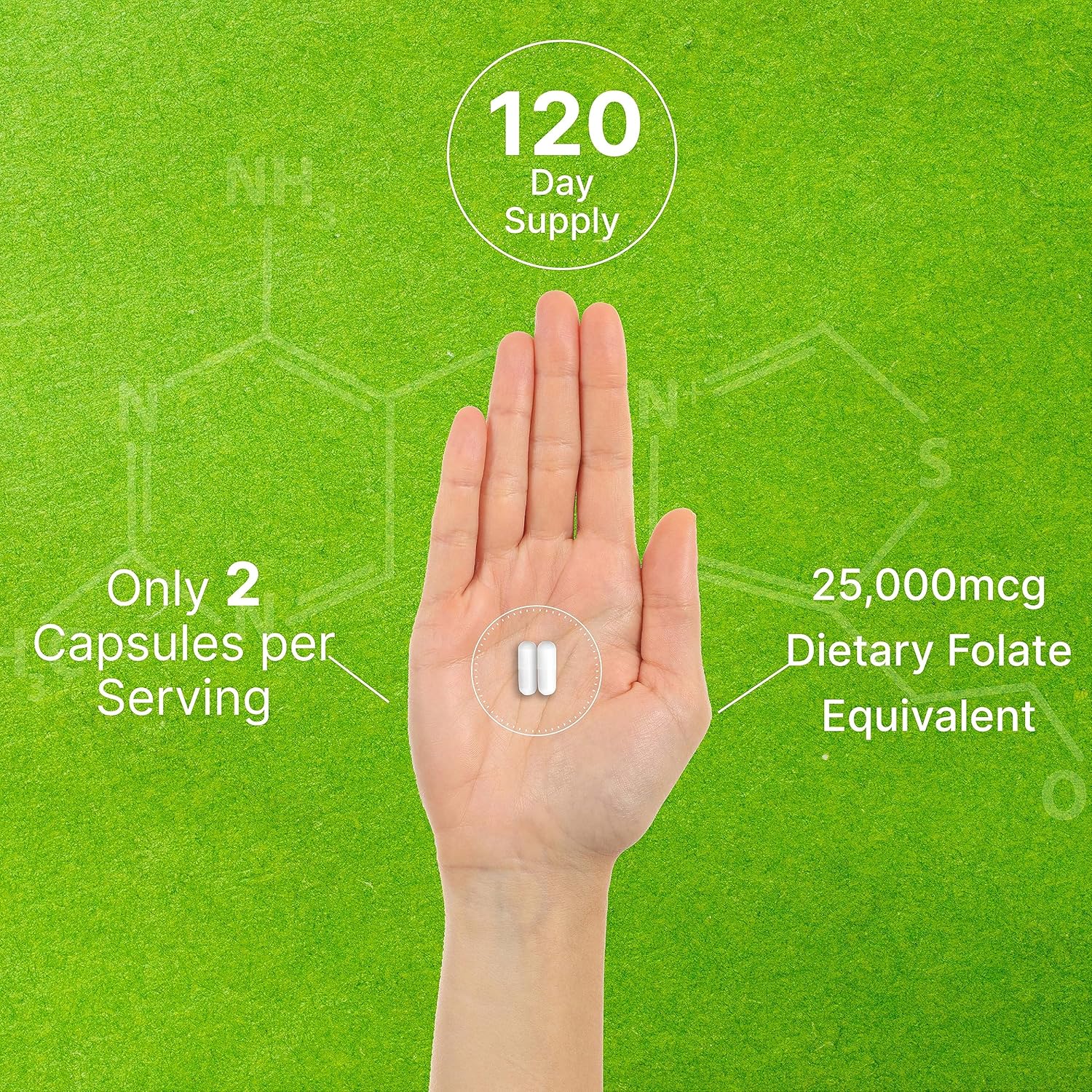 DEAL SUPPLEMENT L Methylfolate 15mg Per Serving, 240 Veggie Capsules – Active Folic Acid Form (5-MTHF), Bioavailable Methylated Folate – Prenatal, Energy, & Brain Support Supplement – Non-GMO : Health & Household