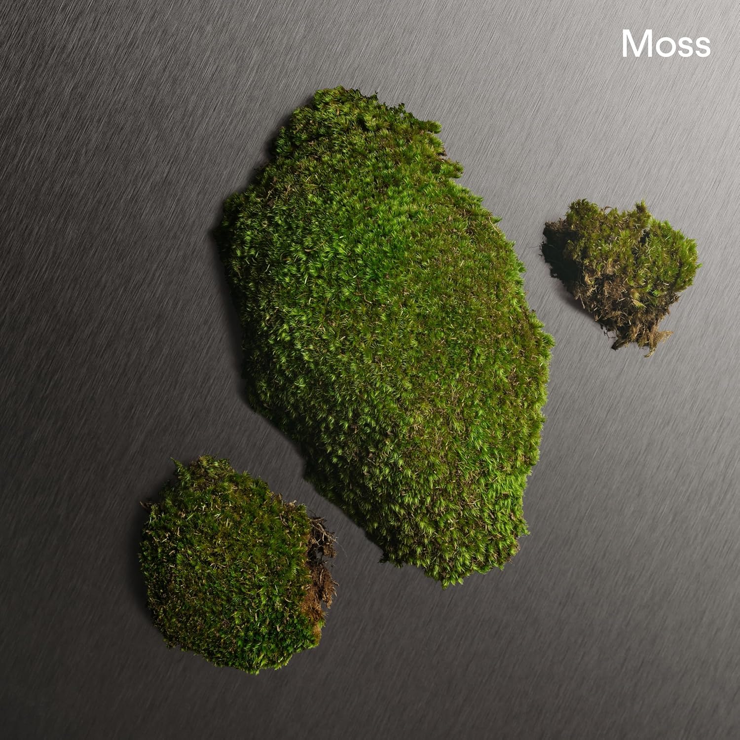 Calvin Klein Eternity For Men Aftershave Balm 5 Fl Oz : Calvin Klein: Beauty & Personal Care