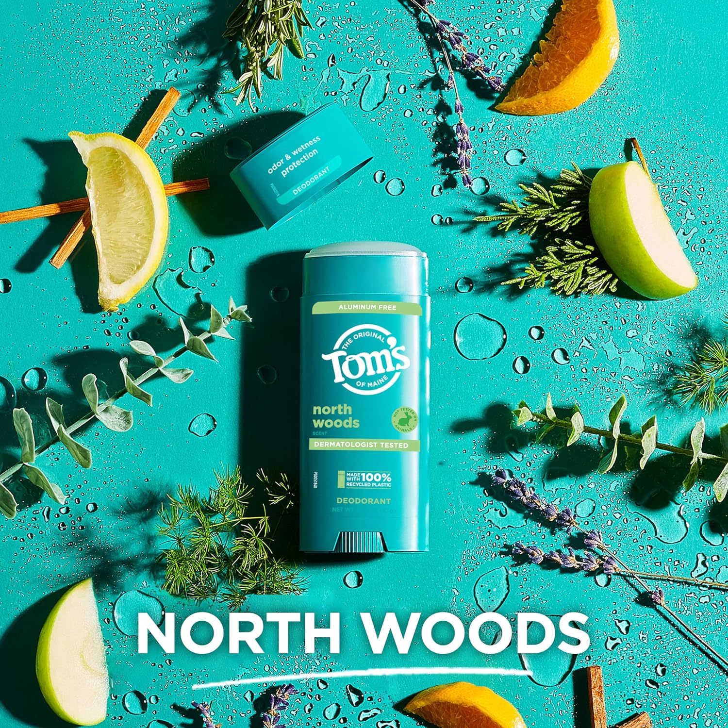 Tom’s of Maine North Woods Natural Deodorant for Men and Women, Aluminum Free, 3.25 oz, 2-Pack : Beauty & Personal Care