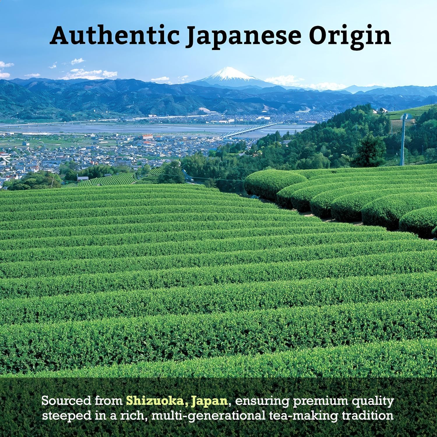 Sugimoto Tea Japanese Kukicha Stem Green Tea Loose Leaf 3.0 Oz (86 G) Pack Of 1