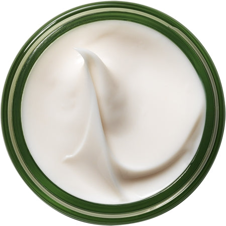 Origins A Perfect World™ Antioxidant Moisturizer With White Tea Nourishing Antioxidant Cream