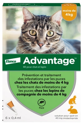 Advantage 40 Antifleas Solution For Cat And Rabbit Under 4Kg 6 Pipettes