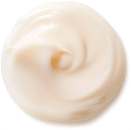 Shiseido Benefiance Nutriperfect Day Cream Day Cream 