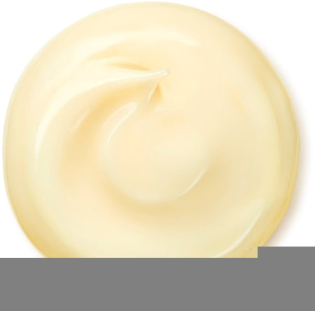 Shiseido Benefiance Wrinkle Smoothing Cream Enriched Anti-Wrinkle Day And Night Cream For Dry Skin