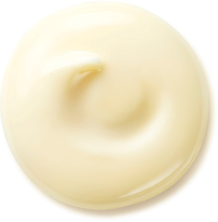 Shiseido Benefiance Wrinkle Smoothing Day Cream Anti-Wrinkle Day Cream Spf 25 