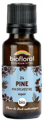 Biofloral 24 Pine Granules Organic 19,5G