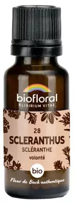 Biofloral 28 Scleranthus Granules Organic 19,5G