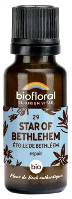 Biofloral 29 Star Of Bethlehem Granules Organic 19,5G