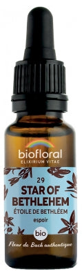 Biofloral Bach Flowers 29 Star Of Bethlehem Organic 20Ml