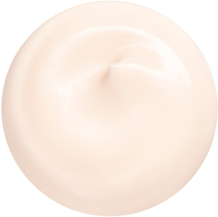 Shiseido Essential Energy Hydrating Day Cream Moisturising Day Cream Spf 20