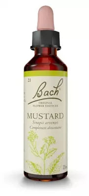 Fleurs De Bach Original Mustard 20Ml