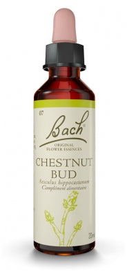 Fleurs De Bach Original Chestnut Bud 20Ml