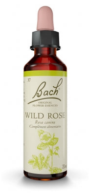 Fleurs De Bach Original Wild Rose 20Ml