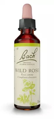 Fleurs De Bach Original Wild Rose 20Ml