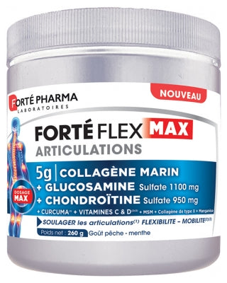 Forté Pharma Forté Flex Max Articulations 260 G