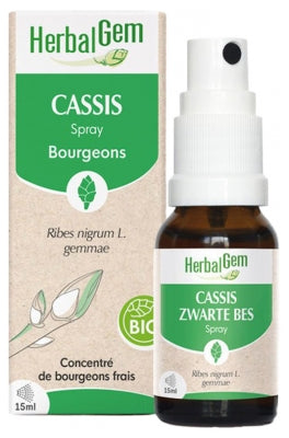 Herbalgem Blackcurrant Spray Organic 15Ml