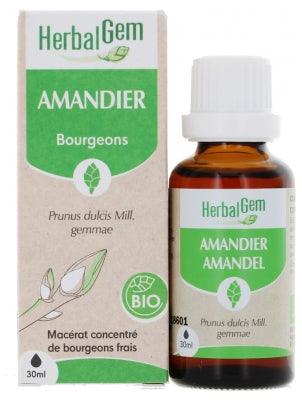 Herbalgem Organic Almond Tree 30Ml