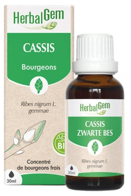 Herbalgem Organic Blackcurrant 30Ml