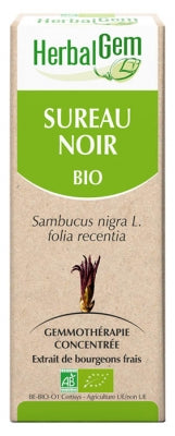 Herbalgem Organic Elderberry 30Ml