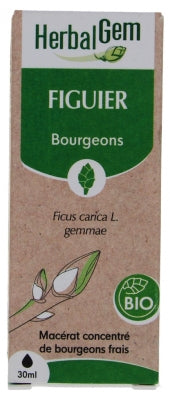Herbalgem Organic Fig Tree 30Ml
