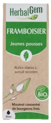 Herbalgem Organic Raspberry Tree 30Ml