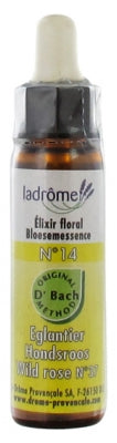 Ladrôme Flowers Of Bach Floral Elixir N°14: Wildrose Organic 10Ml