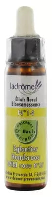 Ladrôme Flowers Of Bach Floral Elixir N°14: Wildrose Organic 10Ml