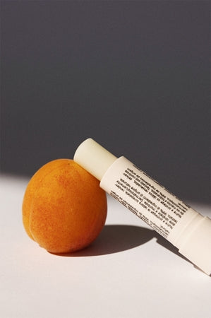 Embryolisse Moisturization And Regeneration Protective Lip Balm With Moisturising Effect 