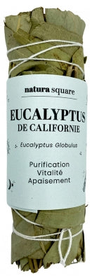 Natura Square Eucalyptus Fumigation Bundle