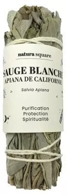 Natura Square White Sage Apiana Fumigation Bundle