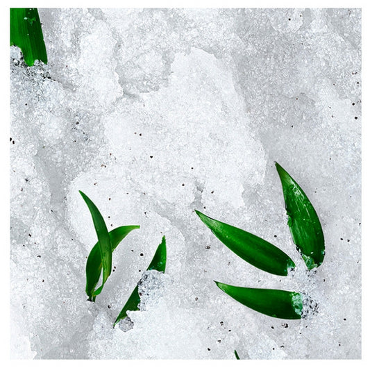 Nuxe Body Rêve De Thé Revitalising Granular Scrub 150Ml