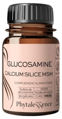 Phytalessence Glucosamine Calcium Silica Msm 30 Capsules