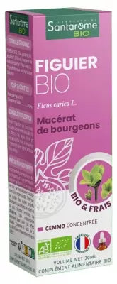 Santarome Organic Fig Tree 30Ml