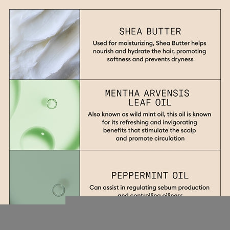 Nioxin Scalp Purifying Exfoliator Treatment For The Scalp For Dandruff 