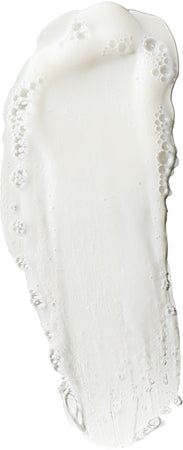 Elizabeth Arden White Tea Skin Solutions Gentle Purifying Cleanser Gentle Cream Cleanser