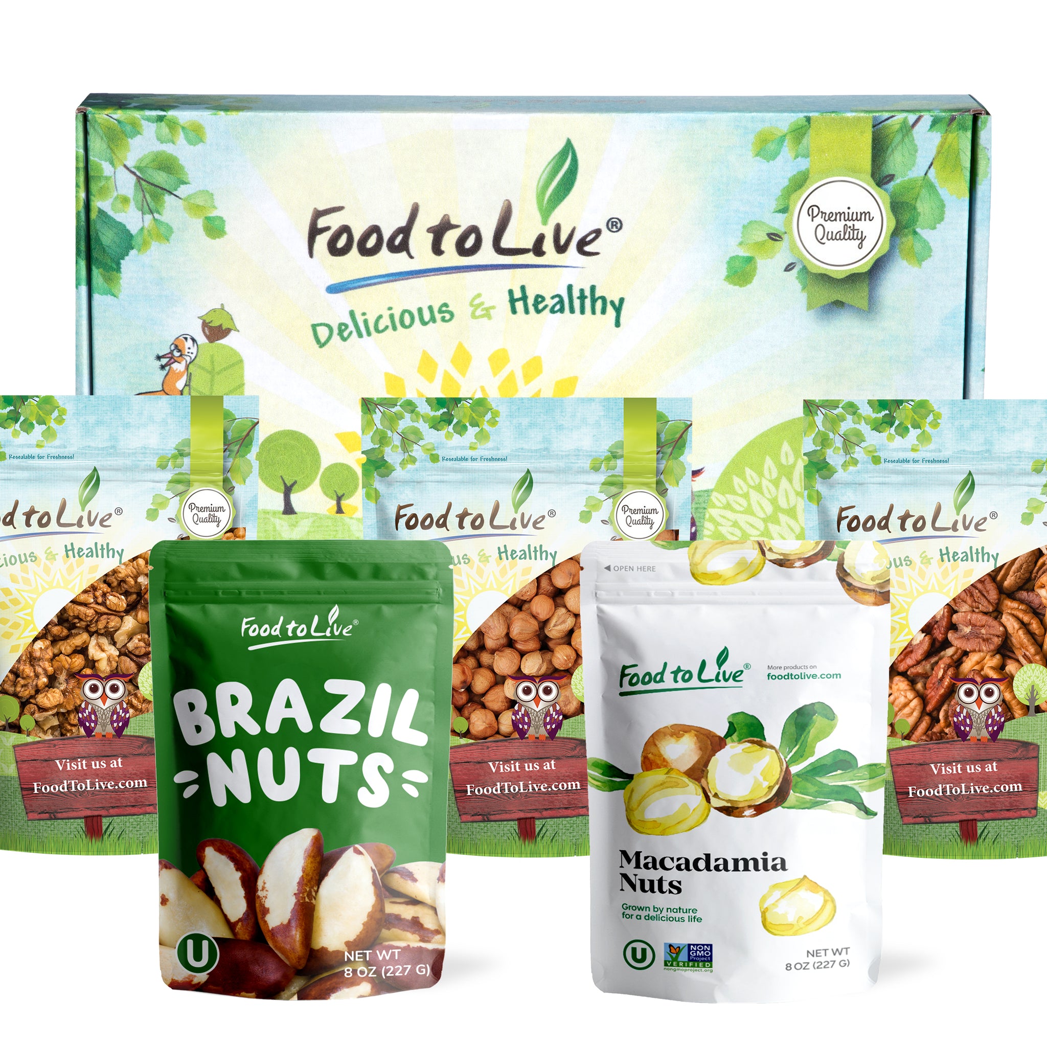 Keto Raw Nuts in a Gift Box - A Variety Pack of Pecans, Brazil Nuts, Macadamia Nuts, Walnuts and Hazelnuts – by Food to Live