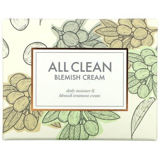 Heimish, All Clean Blemish Cream