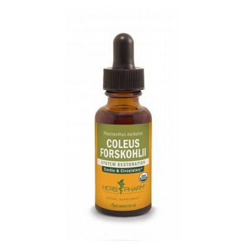 Coleus Forskohlii 1 Oz By Herb Pharm