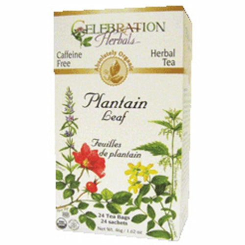 Organic Plantain Leaf Tea 24 Bags By Celebration Herbals