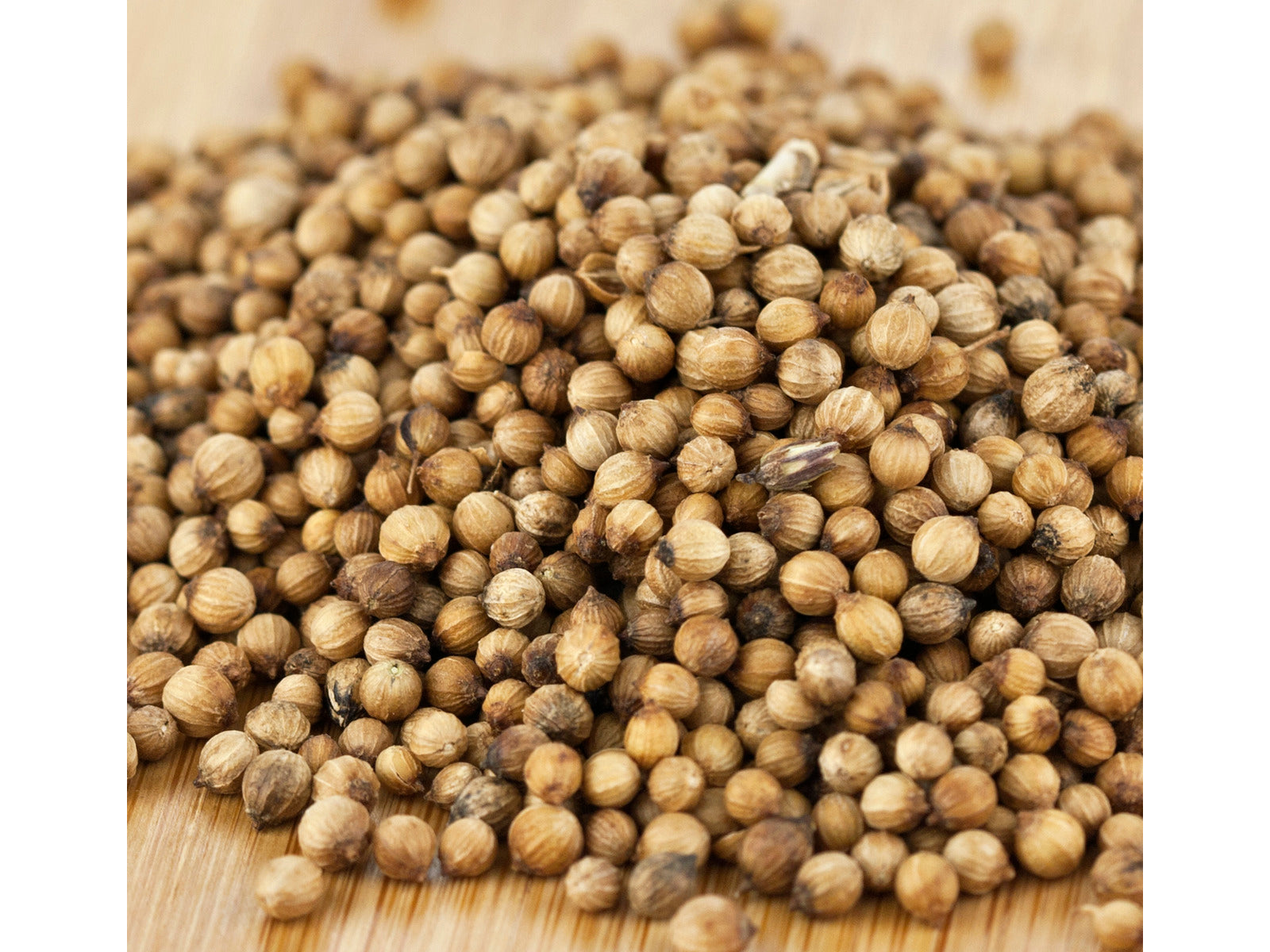 Coriander Seed