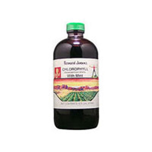 Chlorophyll MINT LIQUID, 16 OZ By Bernard