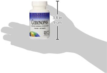 Planetary Herbals Codonopsis Tablets, 750 mg, 60 Count