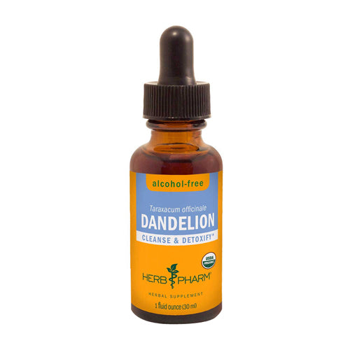 Dandelion Glycerite 1 Oz By Herb Pharm