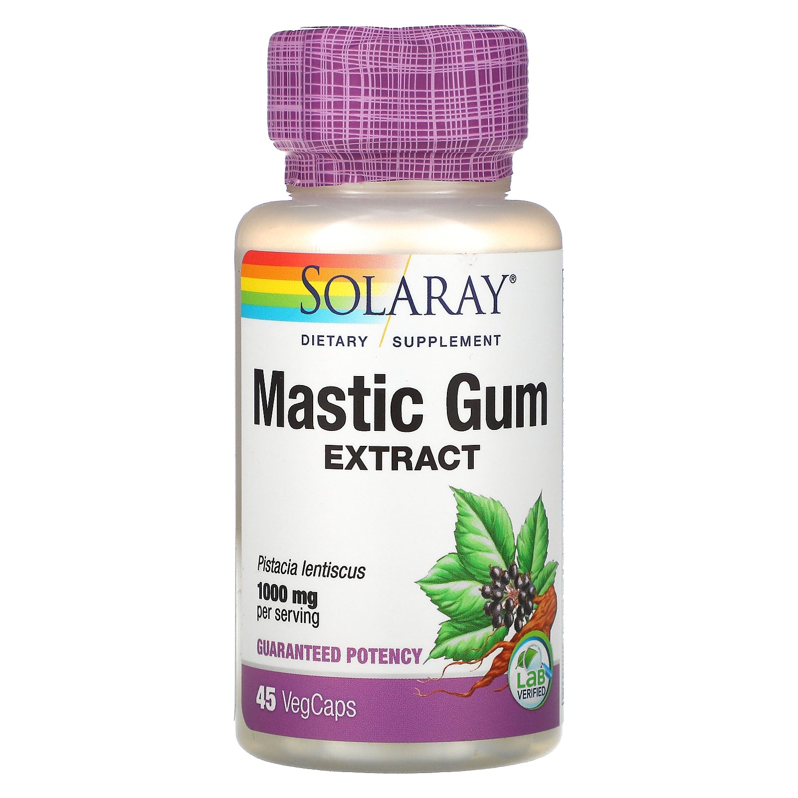 Solaray, Mastic Gum Extract, 500 mg VegCaps