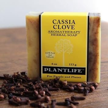 Esupli.com  Plantlife Cassia Clove Bar Soap - Moisturizing a