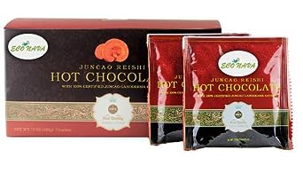 Healthy and Delicious Hot Chocolate with Certified Organic Ganoderma Reishi Mushroom Extract 15 Sachets per Box