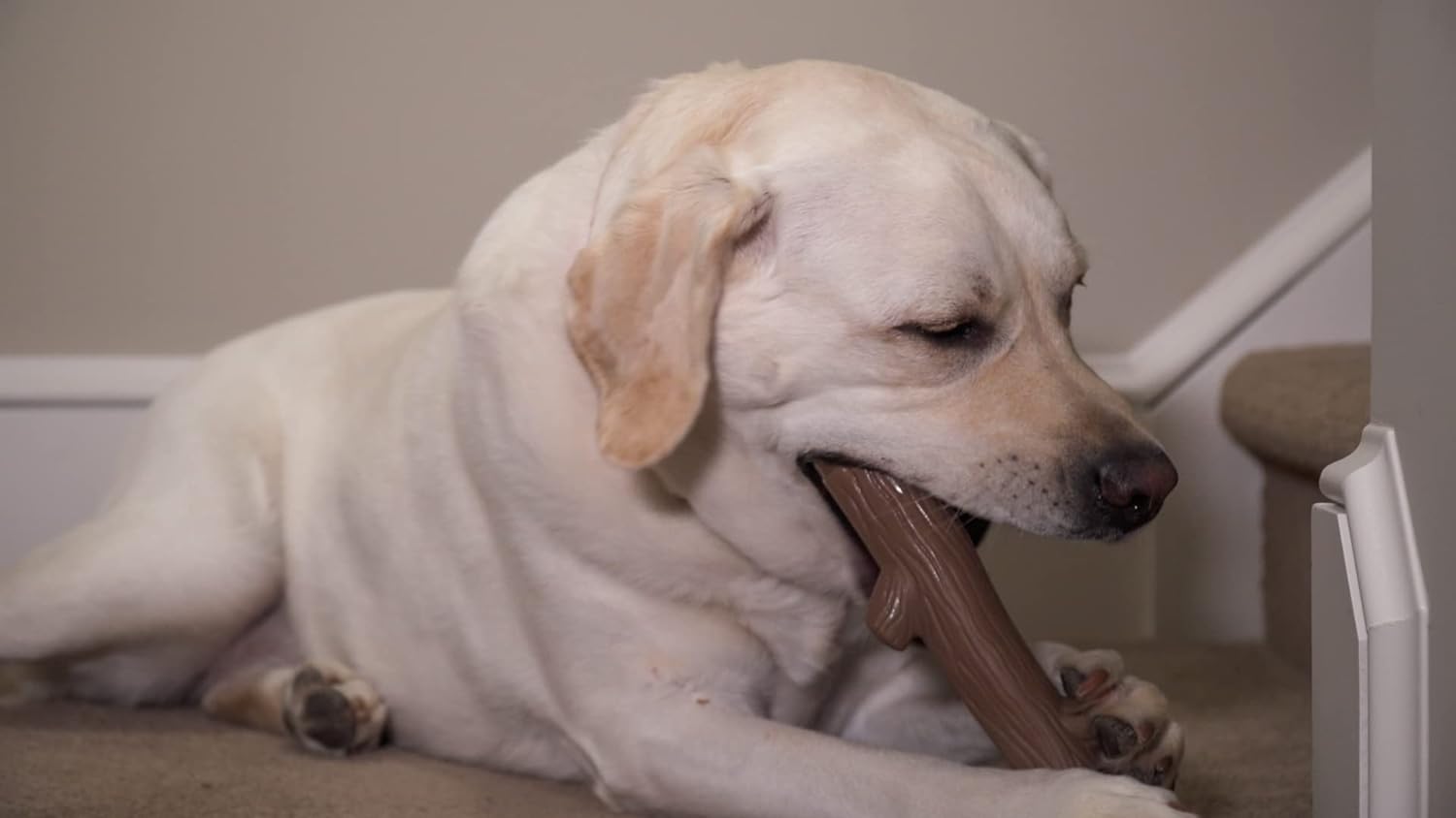 Hero Bonetics Stick, Wood Scent Chewable Dog Toy, Gentle on 