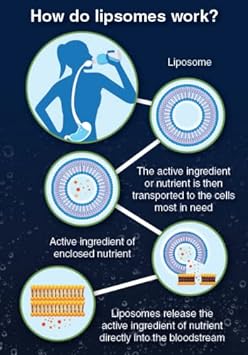 Liposomal Vitamin C by Neurobiologix - 30 Servings