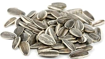 Raw Whole Sunflower Seed in Shell by Nuts to You | Essential Vitamins & Minerals | Healthy Superfood Snack Vegan, Keto, Kosher, Non GMO, Gluten Free, Stellar Selenium, Mighty Magnesium ( (Pack of 1))