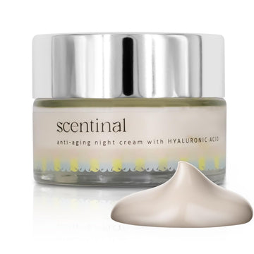 URBAN SOMBRERO Scentinal Anti-Aging Night Cream with Hyaluronic Acid - Overnight Rejuvenation for Radiant, Youthful Skin - 50 /1.7